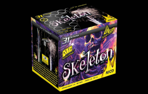 Foto Batterie Skeleton